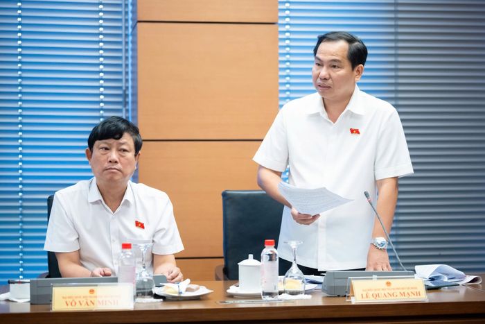 Đại biểu Lê Quang Mạnh