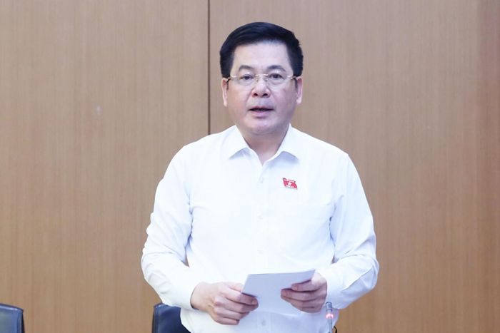 Phó Chủ tịch Quốc hội Nguyễn Hồng Diên phát biểu. Ảnh: Media QH