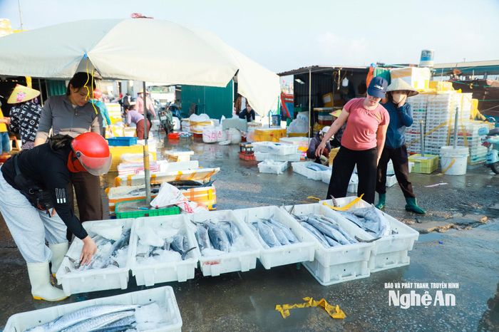 Buôn bán hải sản tại cảng cá Quỳnh Phương, phường Quỳnh Mai. Ảnh: Thành Duy