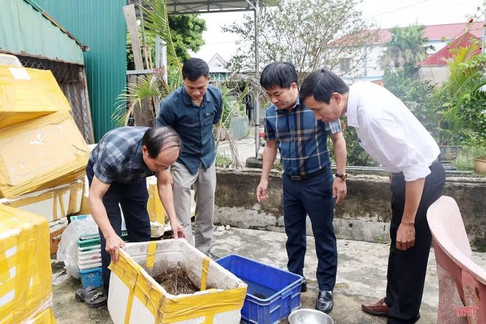 Hà Tĩnh đã ghi nhận 484 ca mắc sốt xuất huyết.