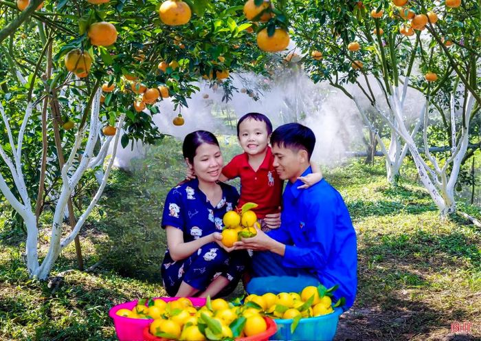  Gia đình anh Đoàn Ngọc Bảo (xã Vũ Quang) bên vườn cam rộng 6 ha đang vào mùa thu hoạch. Ảnh NVCC. 