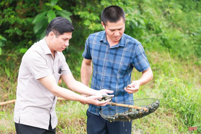 Ông Đậu Thế Chiến, (bên trái) Chủ tịch Hội Nông dân xã Kim Hoa, kiểm tra mô hình nuôi ốc bươu đen của ông Trần Phi Trinh.