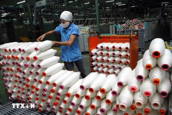 Công ty Cổ phần Đồng Phát (Hà Nội) chuyên sản xuất các loại sợi 100% cotton xuất khẩu sang nhiều thị trường, trong đó có Ba Lan. (Ảnh: Danh Lam/TTXVN)