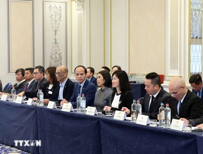 Các chuyên gia, trí thức người Việt Nam tại Bỉ và Luxembourg tham gia buổi gặp. (Ảnh: Thống Nhất/TTXVN)