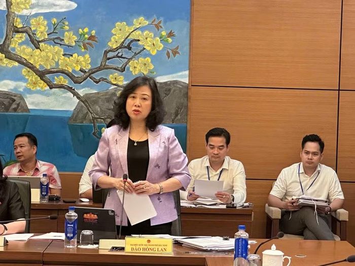 Bộ trưởng Bộ Y tế Đào Hồng Lan phát biểu tại phiên thảo luận ở tổ. (Ảnh: T.G/Vietnam+)