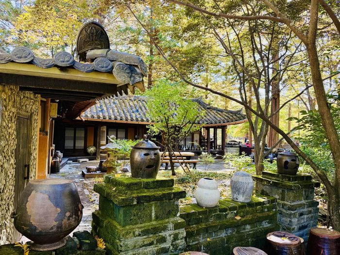 Khung cảnh sân vườn nhà truyền thống Hàn Quốc giữa khung cảnh mùa thu trên đảo Nami. Ảnh: Nhật Hưng/PV TTXVN tại Hàn Quốc