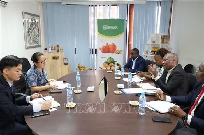 Quang cảnh cuộc làm việc giữa Đại sứ quán Việt Nam và Viện Điều Mozambique. Ảnh: TTXVN phát