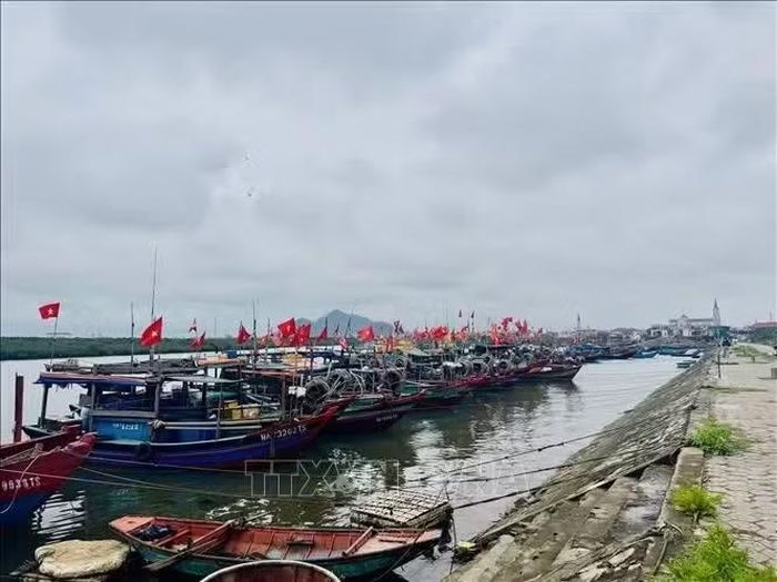 Các tổ đồng quản lý nghề cá ven bờ là điểm tựa cho ngư dân vươn khơi, giữ vững chủ quyền biển đảo.