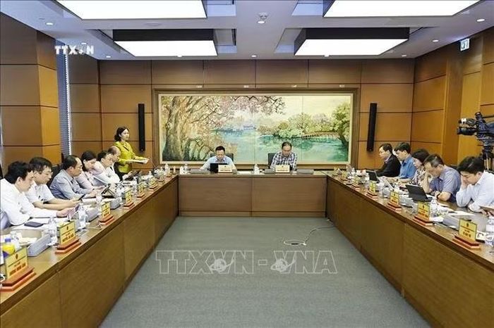 Đoàn đại biểu Quốc hội TP Hà Nội thảo luận ở tổ. Ảnh: Doãn Tấn/TTXVN