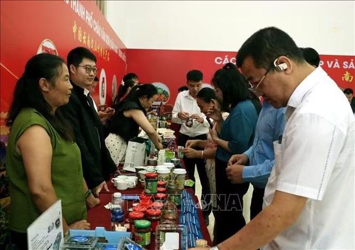Các đại biểu tìm hiểu, trao đổi và chia sẻ thông tin về sản phẩm tại các gian hàng trưng bày của doanh nghiệp, hợp tác xã Việt Nam và Trung Quốc.