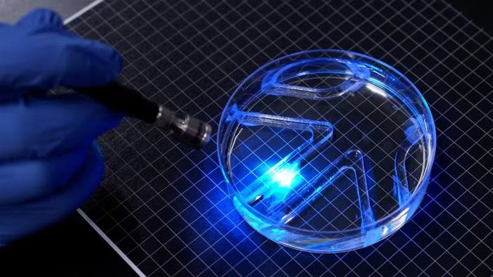 Robot siêu mỏng của MIT sử dụng tế bào cơ sống để di chuyển trong nước. Ảnh: Melanie Gonick/MIT.