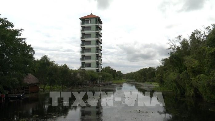 Tháp quan sát cao tầng sừng sững giữa không gian rừng tràm bao la tại khu du lịch Làng nổi Tân Lập, tỉnh Tây Ninh. Ảnh: Thanh Bình -TTXVN