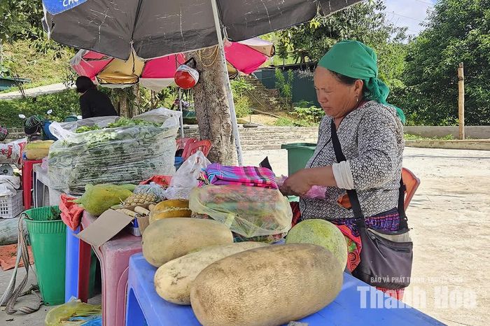 Với chị Ké, chị Chay và chị Dông, việc gùi nông sản lên cổng trời bán mỗi ngày vừa là nguồn thu nhập, vừa góp phần đưa sản vật địa phương đến gần hơn với du khách, giúp họ hiểu thêm về cuộc sống nơi cổng trời Mường Lát.