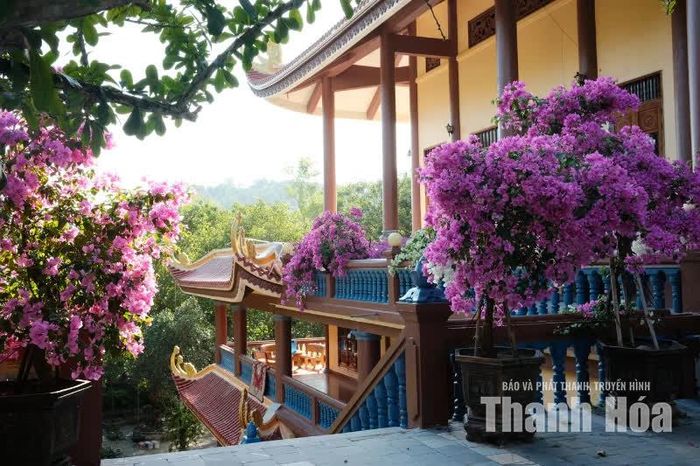 Cùng với đó, hệ thống thiền đường, trai đường được xây dựng nhằm phục vụ đời sống tu tập, thể hiện sự tiếp nối tinh thần hướng nội, rèn luyện thân tâm và sống hướng thiện - những nét đặc trưng trong tư tưởng của Thiền phái Trúc Lâm Yên Tử.