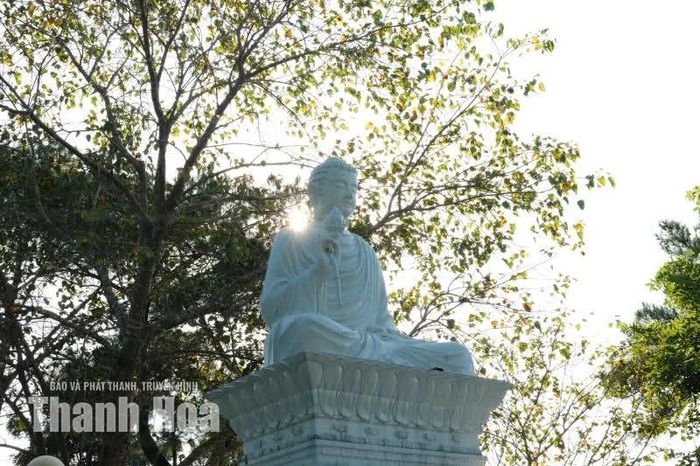 Ngày nay, Thiền viện Trúc Lâm Hàm Rồng đã trở thành điểm đến quen thuộc của người dân và du khách khi về với vùng đất bên dòng sông Mã. Không chỉ đáp ứng nhu cầu sinh hoạt tín ngưỡng, nơi đây còn góp phần giới thiệu những nét đặc trưng của Phật giáo thời Trần, đưa tư tưởng sống hướng thiện, hòa hợp giữa đạo và đời đến gần hơn với cộng đồng.