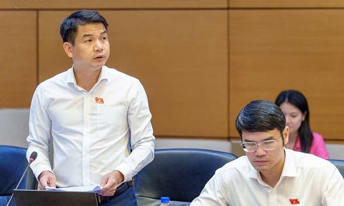  Đại biểu Vũ Văn Cường phát biểu. 