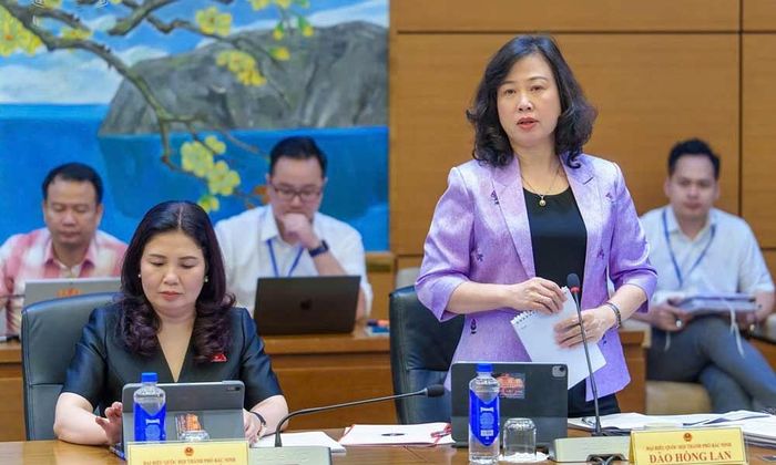  Đồng chí Đào Hồng Lan phát biểu thảo luận chiều 24/10. 