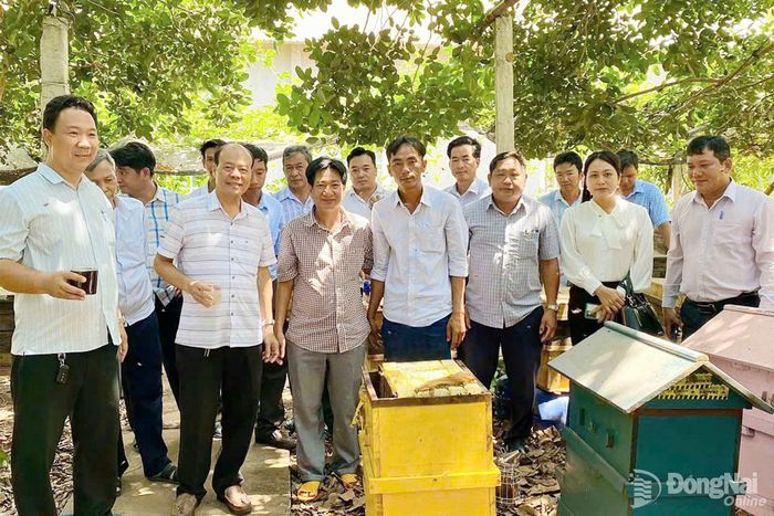 Cán bộ, hội viên nông dân tham quan Cơ sở nuôi ong Quân Phát tại phường Dầu Giây. Ảnh: Nhật Quang