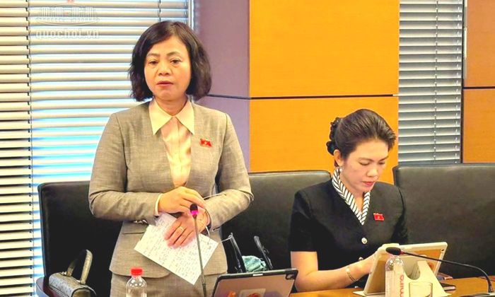 Đại biểu Nguyễn Thanh Cầm phát biểu thảo luận