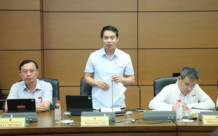 ĐB Phạm Ngọc Lâm đề nghị tiếp tục đơn giản hóa quy trình lập, nộp hồ sơ dự thầu. Ảnh: Đoàn ĐBQH tỉnh Gia Lai