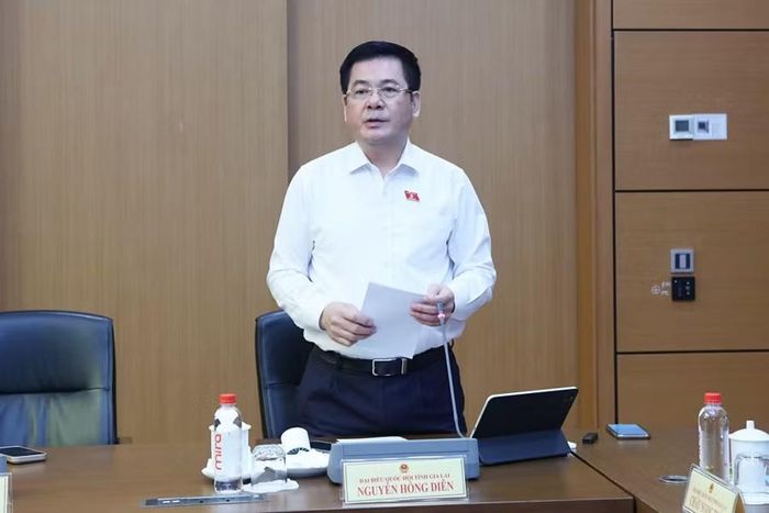 Phó Chủ tịch Quốc hội Nguyễn Hồng Diên đề nghị làm rõ cơ quan chủ trì, cơ quan phối hợp, thẩm quyền quyết định và trách nhiệm giải trình. Ảnh: Đoàn ĐBQH tỉnh Gia Lai