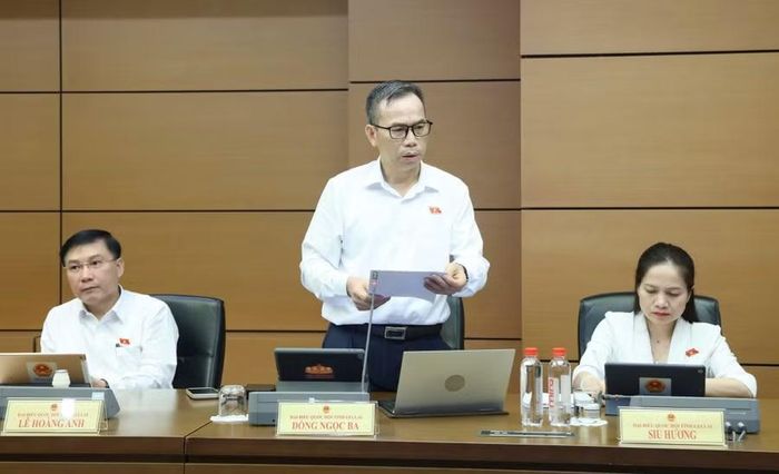 ĐB Đồng Ngọc Ba đề nghị sửa đổi Điều 7 Luật Đầu tư theo hướng quy định rõ tiêu chí xác định ngành nghề đầu tư kinh doanh có điều kiện. Ảnh: Đoàn ĐBQH tỉnh Gia Lai