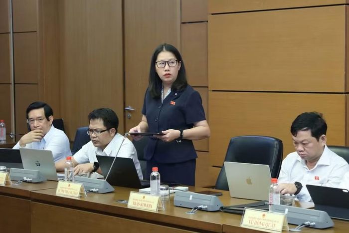 ĐB Huỳnh Thị Anh Thảo đề nghị quy định rõ tiêu chí xác định các ngành công nghiệp văn hóa phát sinh trong thực tiễn.