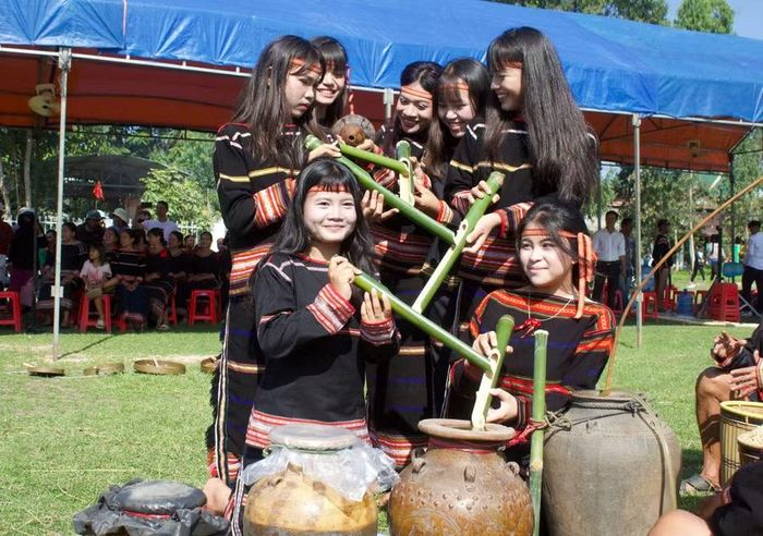  Các thiếu nữ Jrai dùng ống tre rót thêm nước vào các ghè rượu mời khách. Ảnh: Vũ Chi 