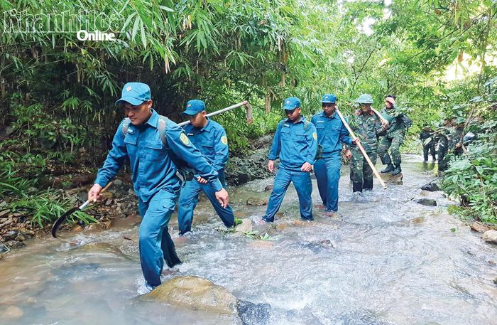  Trong chuyến tìm kiếm trên đỉnh núi Tà Lọt (xã Bác Ái Tây), các cán bộ, chiến sĩ đã trải qua hơn 9 giờ băng rừng, lội suối dưới trời mưa lớn để đưa hài cốt liệt sĩ Bo Bo Mơ về an táng tại nghĩa trang liệt sĩ.