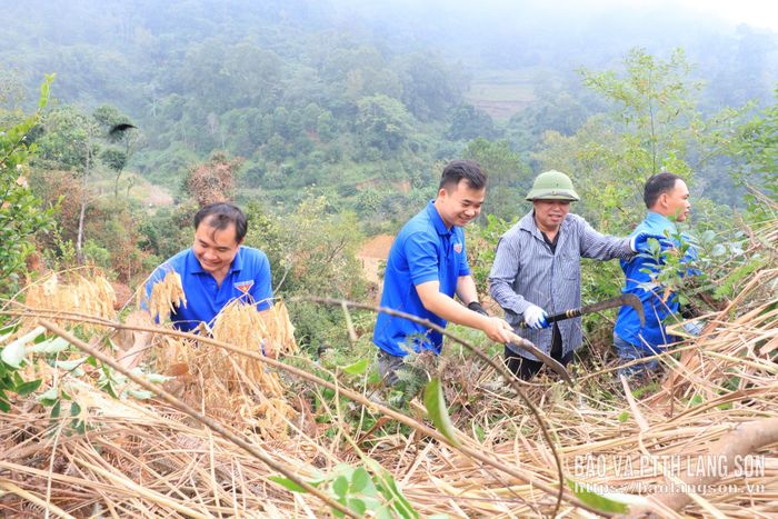 Đoàn viên, thanh niên xã và cán bộ xã tham gia hỗ trợ người dân phát dọn thực bì