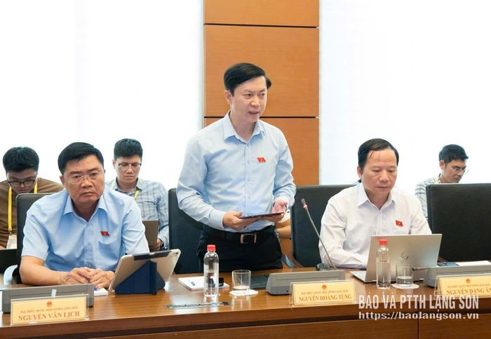 Đại biểu Nguyễn Hoàng Tùng, Đoàn đại biểu Quốc hội tỉnh phát biểu thảo luận tại tổ