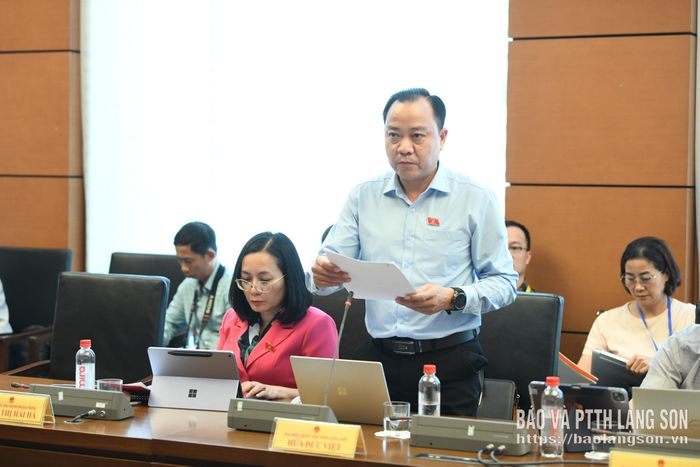 Đại biểu Hứa Đức Việt, Đoàn đại biểu Quốc hội tỉnh phát biểu thảo luận tại tổ