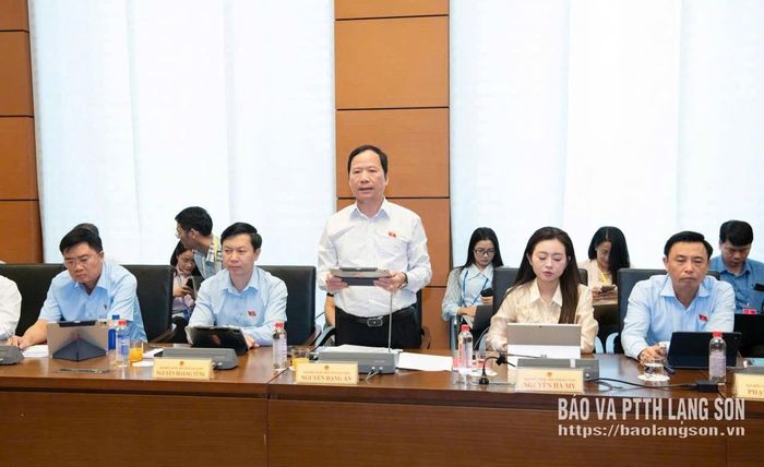 Đại biểu Nguyễn Đặng Ân, Phó Trưởng Đoàn đại biểu Quốc hội tỉnh phát biểu thảo luận tại tổ