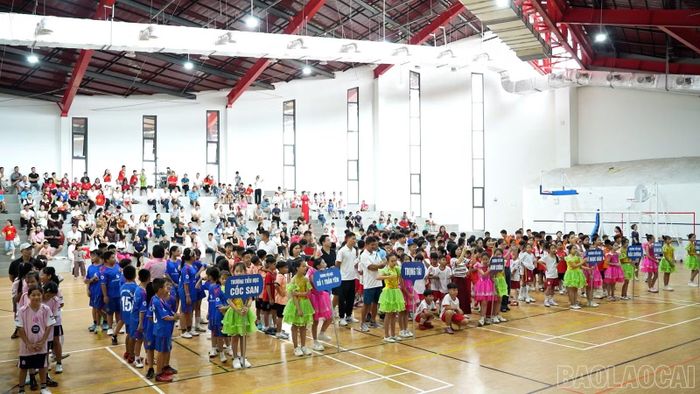 Giải thu hút hơn 250 vận động viên tham gia tranh tài.