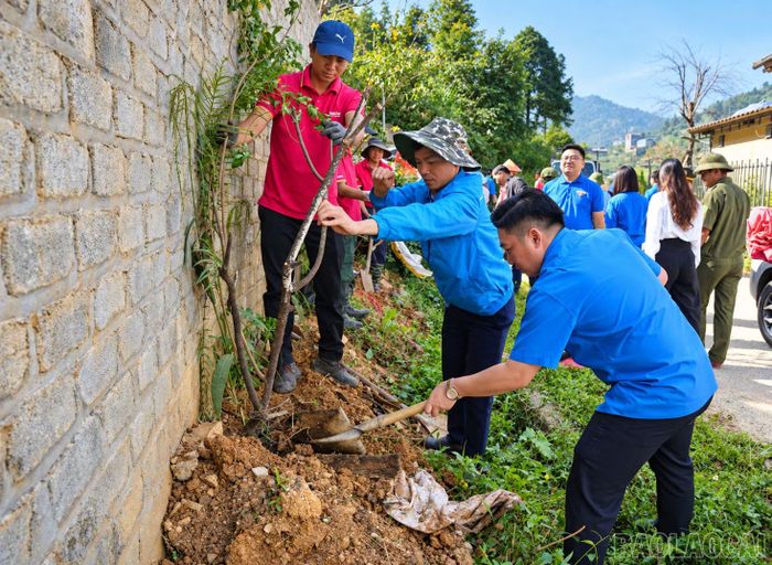 Đoàn viên thanh niên phường Sa Pa tham gia trồng cây xanh.