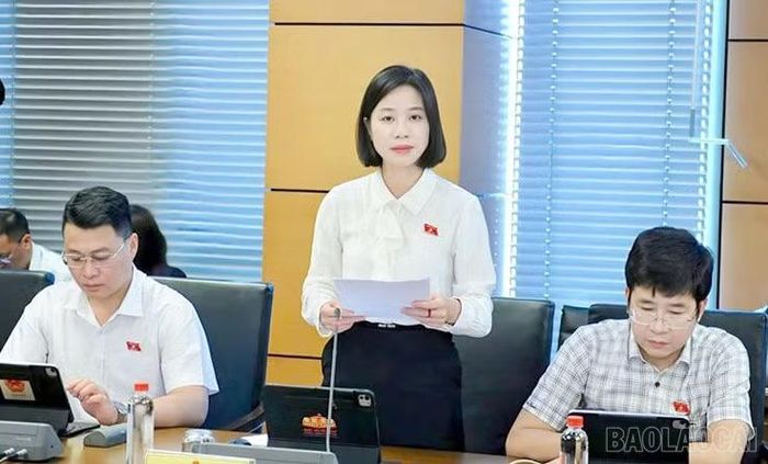 Đại biểu Phạm Thị Phương tham gia thảo luận tổ.