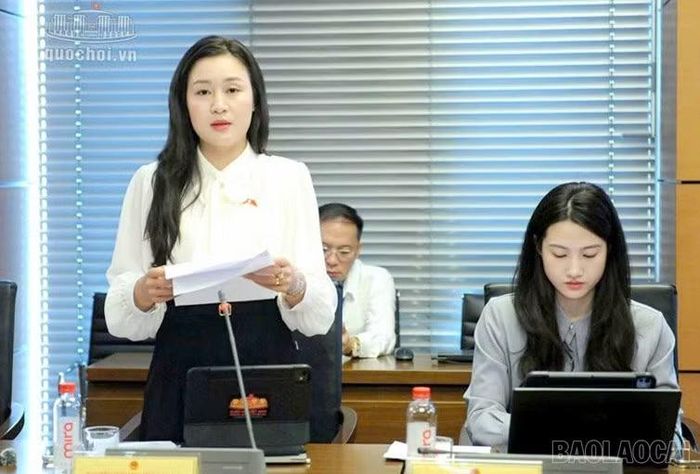 Đại biểu Lý Hương tham gia thảo luận tổ.
