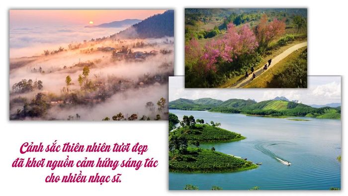 Ảnh: Phạm Bằng, Xuân Tình, Thanh Miền.