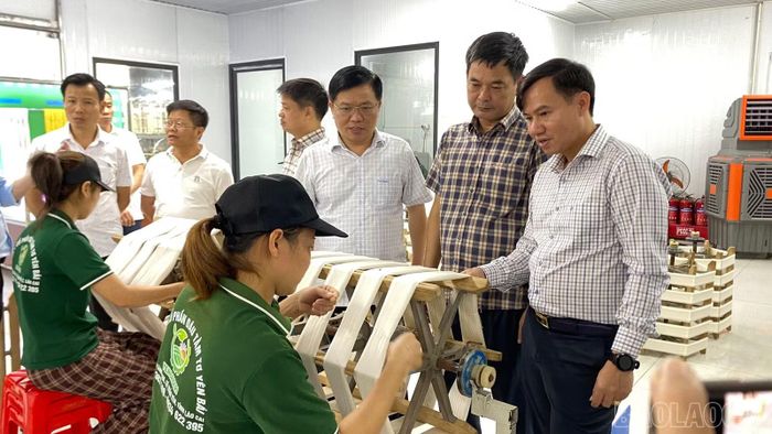 Đoàn công tác tham quan hoạt động của Công ty Dâu tằm tơ Yên Bái.