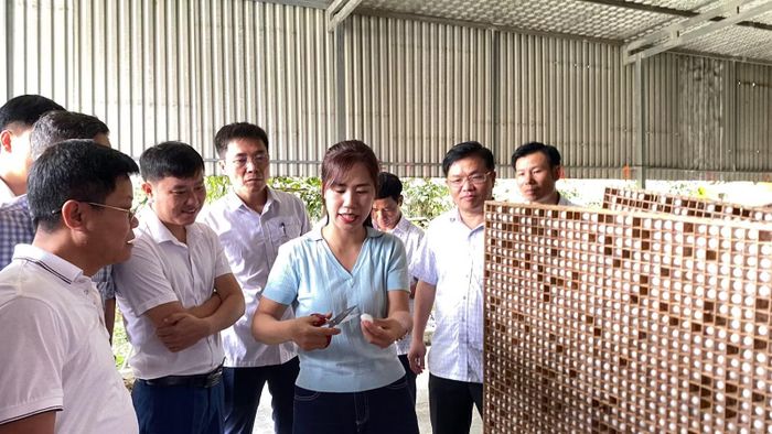 Đoàn công tác tham quan thành viên nuôi tằm cho thu kén tại Hợp tác xã Dâu tằm Minh Tiến.