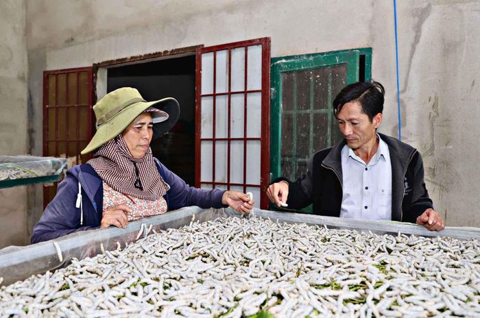 Trên vùng đất mới Lâm Đồng người dân phát triển dâu tằm, trồng trọt và duy trì những nghề thủ công truyền thống