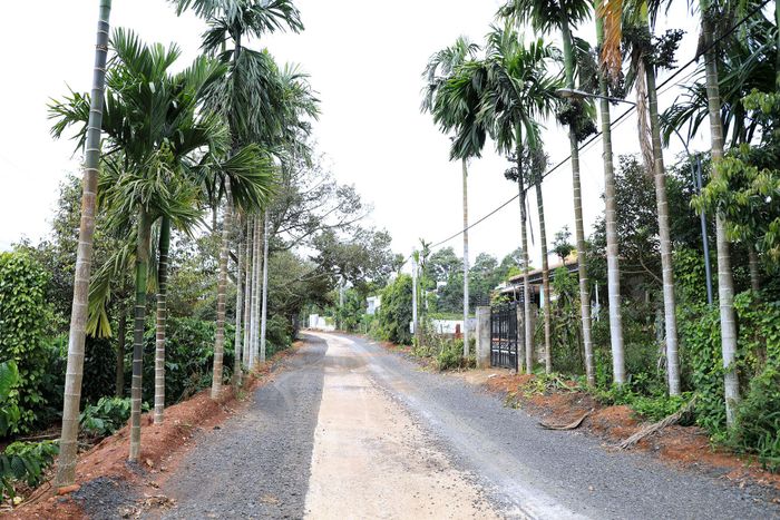 Mặt bằng tại dự án Nâng cấp đường từ Tỉnh lộ 682 đi thôn 4 và thôn Hà Nam Ninh, xã Đắk Song đã cơ bản được bàn giao