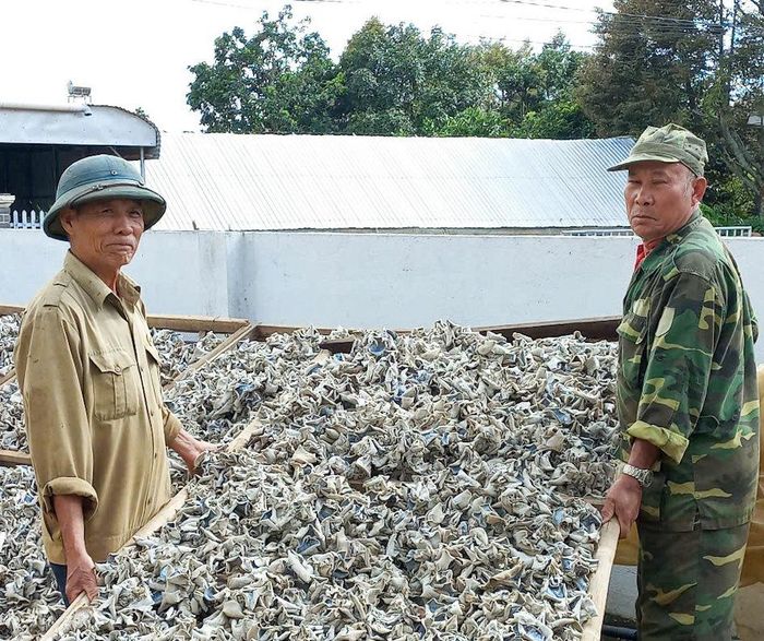 CCB sẵn sàng hỗ trợ đổi công, chia sẻ kinh nghiệm giúp sản xuất ổn định