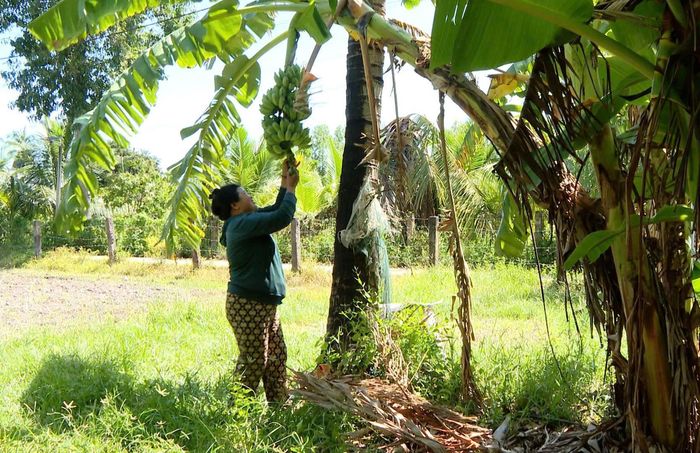 Chị Nguyễn Thị Dung từng là hộ nghèo nay đã thoát nghèo