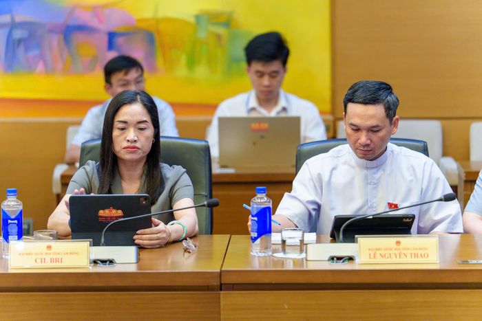 ĐBQH tỉnh Lâm Đồng tham dự phiên thảo luận