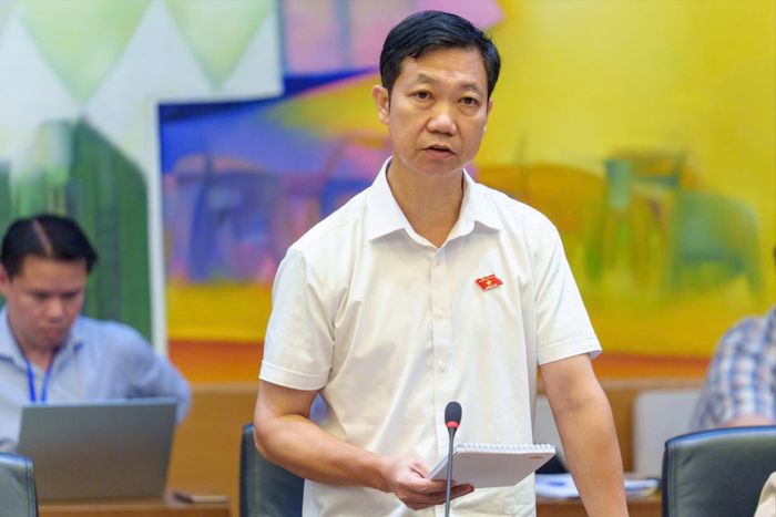 Đại biểu Phạm Đức Hoài, Đoàn ĐBQH tỉnh Lâm Đồng phát biểu