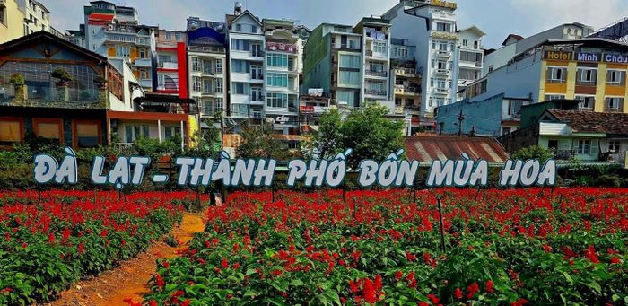 Đà Lạt đã chuyển dịch từ "du lịch mùa vụ" sang "du lịch trải nghiệm 4 mùa". (Ảnh: Phương Nam)
