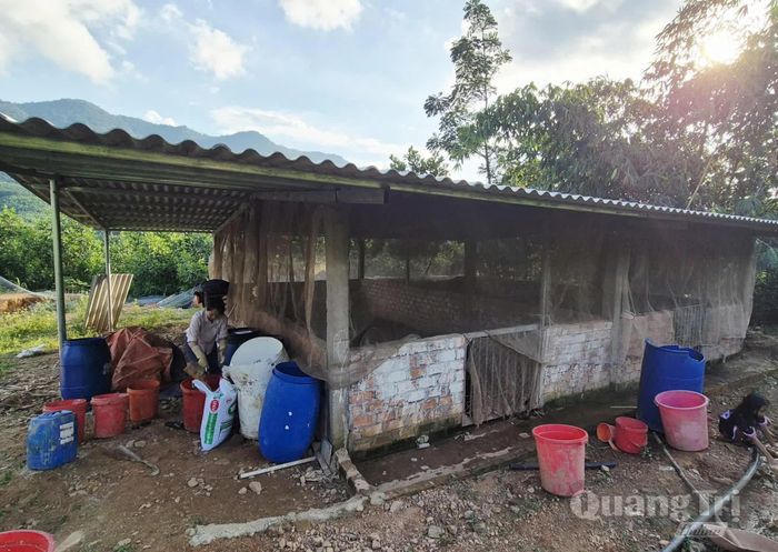 Mô hình chuồng nuôi lợn kiên cố, bảo đảm vệ sinh môi trường tại xã Đakrông - Ảnh: K.S