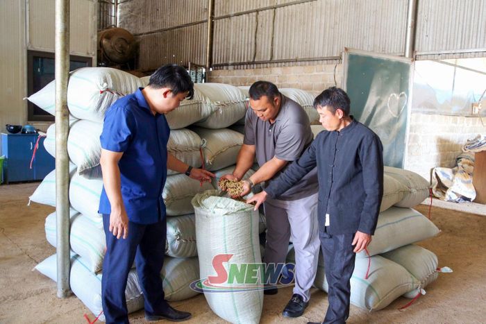 Chú trọng việc bảo quản cà phê nhân.