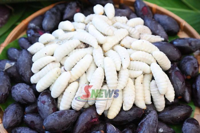 Các món ăn được chế biến từ sản vật ở địa phương.